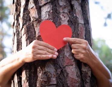 Two woman hands hugging a tree trunk holding a red heart made of paper - earth's day concept.